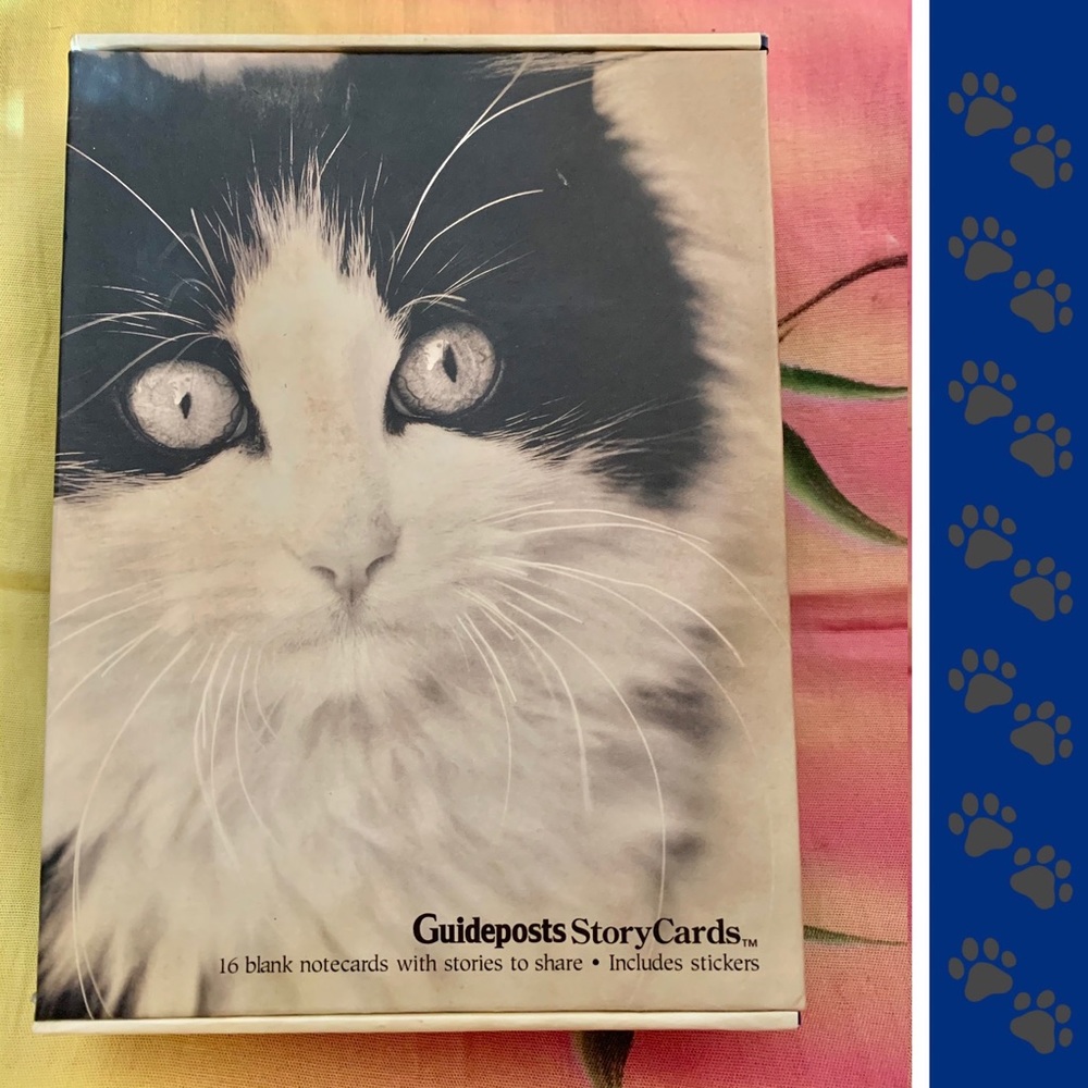NIB Guideposts 16 Blank Boxed Cat StoryCards